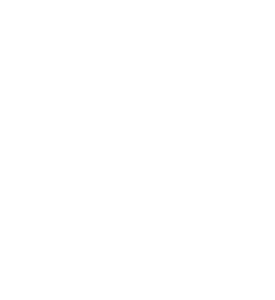 Seid Voice & Acting Studio logo. The text "Voice & Acting Studio" is displayed in a modern, stylized font with a treble clef as the letter S,